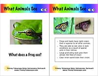 What animals see sample card